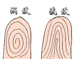 ָ������