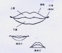 ���Ĺ٣����ɹ٣��ڣ�