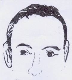 �����������ţ���ͣ��ʲô����ͣ��2