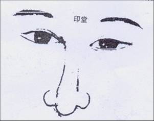 �����������ţ���ͣ��ʲô����ͣ��3