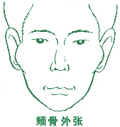 ���������͸���Ը�