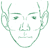 ���������͸���Ը�