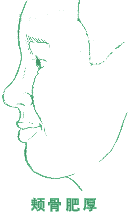 ���������͸���Ը�