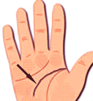 ���Բ���������