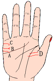 ������ͼ��12