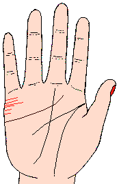 ������ͼ��2