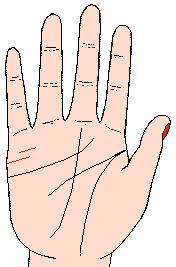 ������ͼ��4