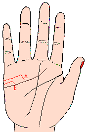 ������ͼ��5