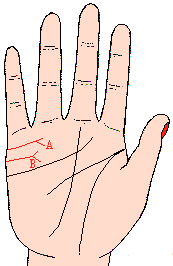 ������ͼ��6