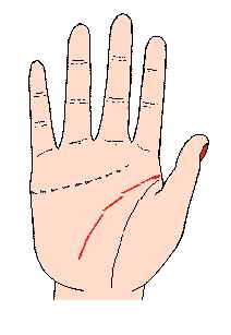 �ǻ����۶�