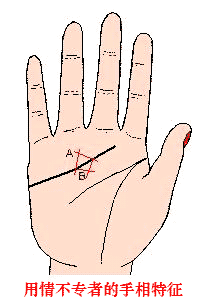 ���鲻ר�ߵ���������