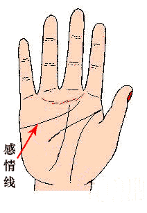 ΪSEX����ߵ���������