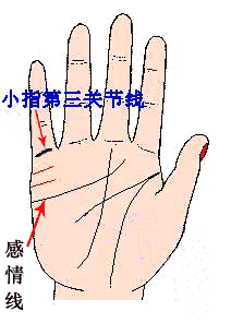 ��λ����ߵ���������