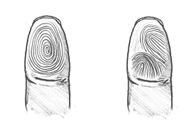 ָ�ƿ���һ�������û�