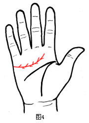 �����Ե�����