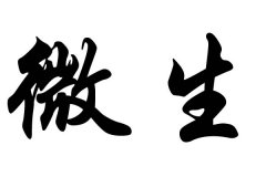 ��΢��������