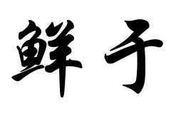 �����ڵ�����