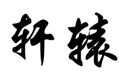 ����ԯ������