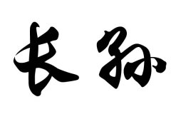 �ճ��������