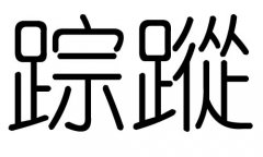踪字的五行属什么,踪字有几划,踪字的含义