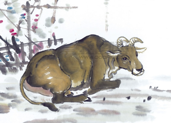 ��ţ���������˳�_��Фţ��������Σ�