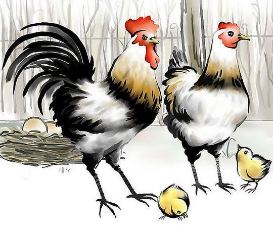 �������������˳�_��Ф����������Σ�