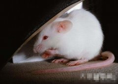 <b>�������ں�ʱ���˺���</b>