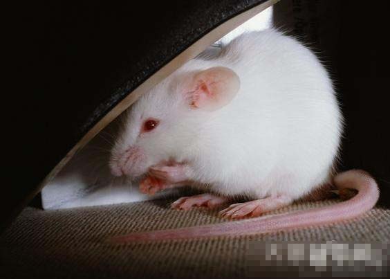 �������ں�ʱ���˺���