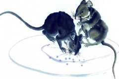 <b>�������ڳ�ʱ���˺���</b>