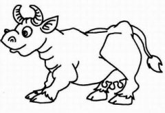 ����������ţ�����˺���