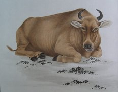 ����������ţ�����˺���