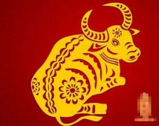 ��ʮ������ţ�����˺���