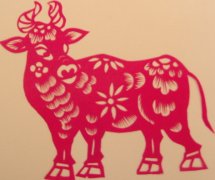 ʮ��������ţ�����˺���