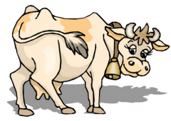 ţ��������ʱ���˺���