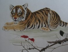 �����������������˺���