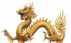 ʮ���������������˺���