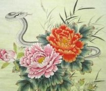 �����������������˺���