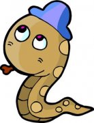 ��ʮһ�������������˺���