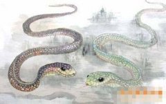 ��ʮ�������������˺���