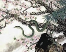 ����������ʱ���˺���