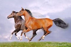 �������ں�ʱ���˺���