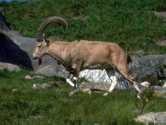 �����������������˺���