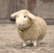 ��ʮ�������������˺���