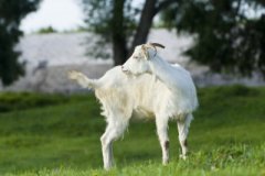 ����������ʱ���˺���