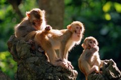 ���³��������������˺���?