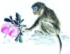 ��ʮ���������������˺���