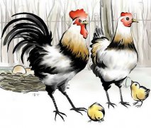 ���³��������������˺���?