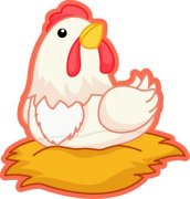 ʮһ�������������˺���