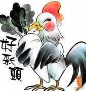 ��ʮ���������������˺���