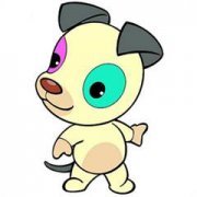 ʮһ�³����Ĺ������˺���?